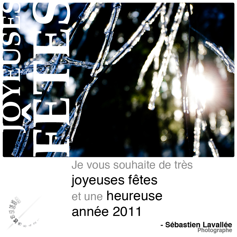 Joyeuses Fêtes 2010 (© Sébastien Lavallée, 2010)